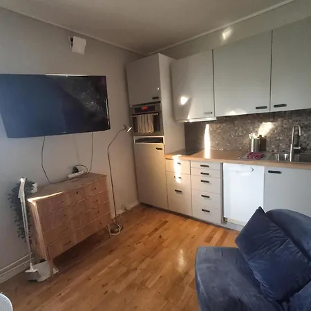 Koselig Studioleilighet Lägenhet *