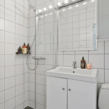Koselig Studioleilighet Trondheim