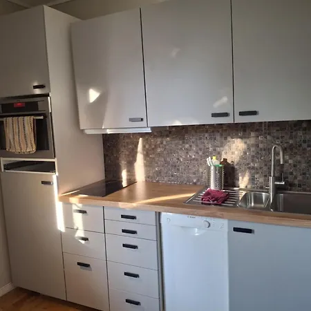 Koselig Studioleilighet