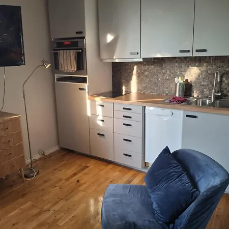 Koselig Studioleilighet Trondheim